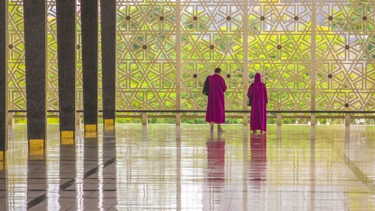 back-view-of-two-people-wearing-purple-robes-stand-2023-11-27-04-56-27-utc